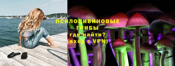 каннабис Богданович