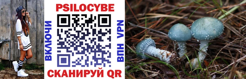 купить  сайты  Верхняя Пышма  Галлюциногенные грибы Psilocybe 